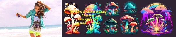 дмт Армянск